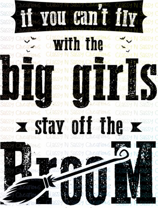 If you can't fly with the big girls stay off the broom