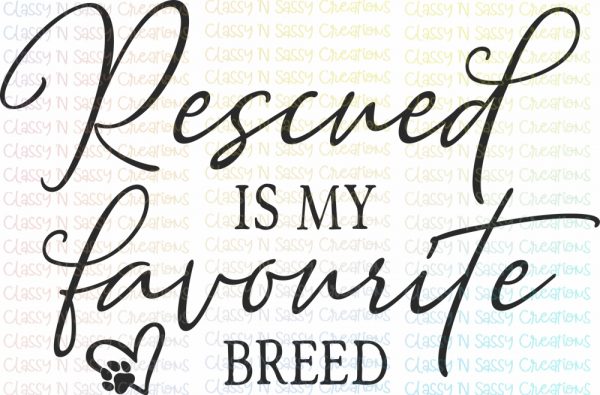 Rescued is my favorite breed - Image 2