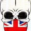 Skulls  - camo, corrections, dispatch, EMS, firefighter, light blue, military, nurse, police, pride, UK Flag, USA Flag, white - Image 4