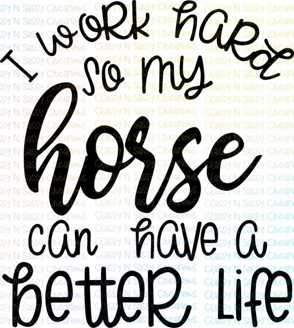 I work hard so my horses can have a better life - Image 2